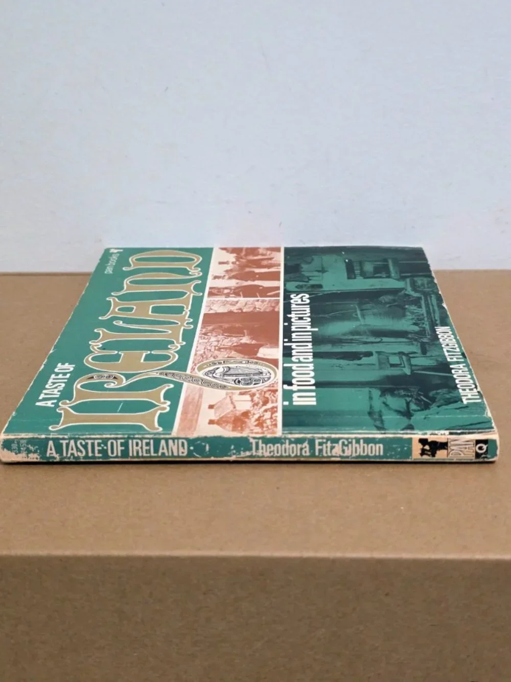 Vintage Irish Cookbook A Taste of Ireland 1970 Illustrated Recipes Photos